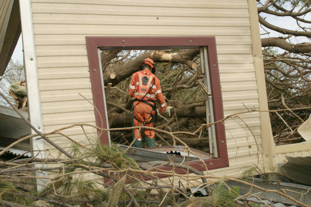 How Our Tree Care Process Works  in  New Sarpy, LA